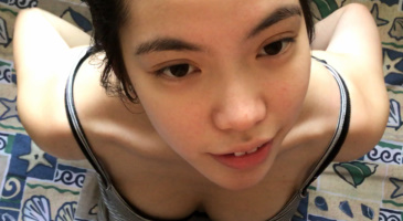 Strikingdash Contact