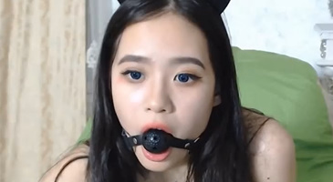 Strikingdash Contact