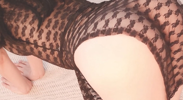 Strikingdash Contact