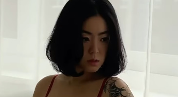 Strikingdash Contact