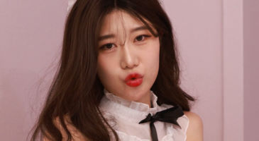 Strikingdash Contact