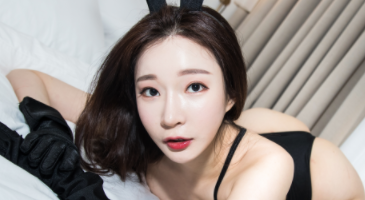 Strikingdash Contact