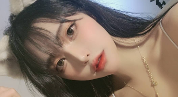 Strikingdash Contact