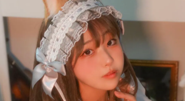 Strikingdash Contact