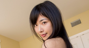 Strikingdash Contact