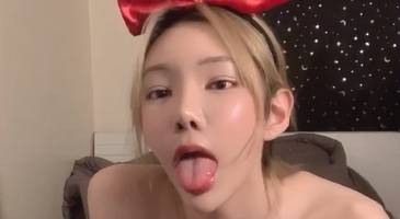 Strikingdash Contact