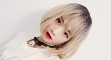 Strikingdash Contact